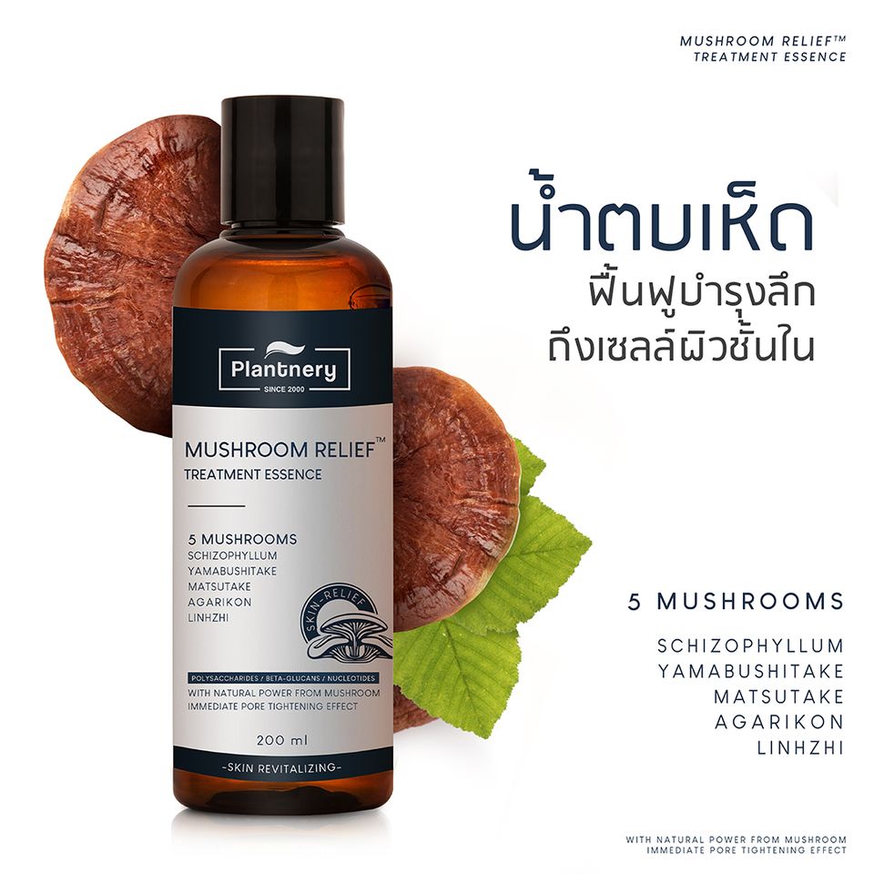 Plantnery , แพลนท์เนอรี่,MUSHROOM RELIEF TREATMENT ESSENCE,Plantnery Mushroom Relief Night Repair Serum,มัชรูม ไนท์ รีแพร์ เซรั่ม,แพลนท์เนอรี่เซรั่มเห็ด,เซรั่มเห็ด,เซรั่มแพลนท์เนอรี่,Plantneryรีวิว,แพลนท์เนอรี่รีวิว,วิธีใช้ แพลนท์เนอรี่เซรั่ม