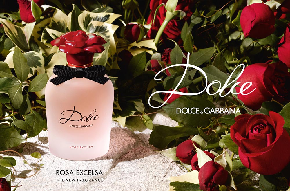 Dolce & Gabbana, Dolce & Gabbana Rosa Excelsa, Dolce & Gabbana Rosa Excelsa Eau De Parfum, Dolce & Gabbana Rosa Excelsa EDP, Dolce Rosa Excelsa, ดอเช่ โรซ่า เอ็กเซลซ่า, ดอลเช่ แอนด์ กาบาน่า, น้ำหอม Dolce & Gabbana, น้ำหอมกลิ่นหุหลาบ